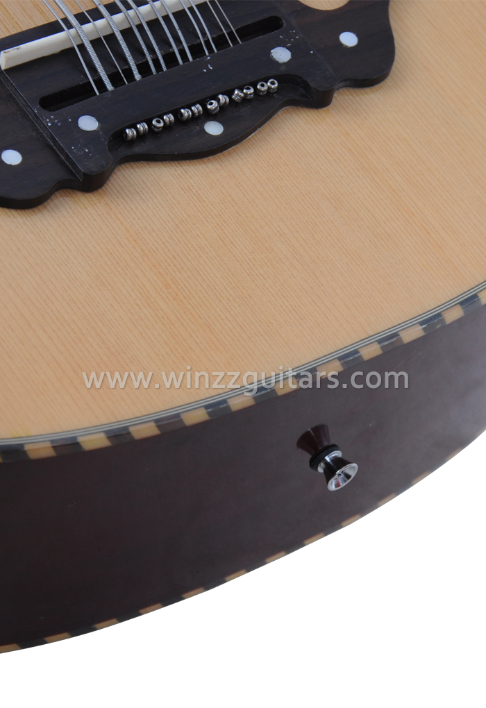 Wholesale Sharp Cutaway 12 Strings Acoustic Guitar With EQ (AFM10CE-12)