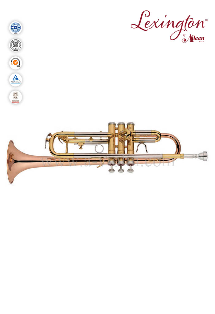 Bb Upgrade Professional Trumpet With Premium Case (TP8012)