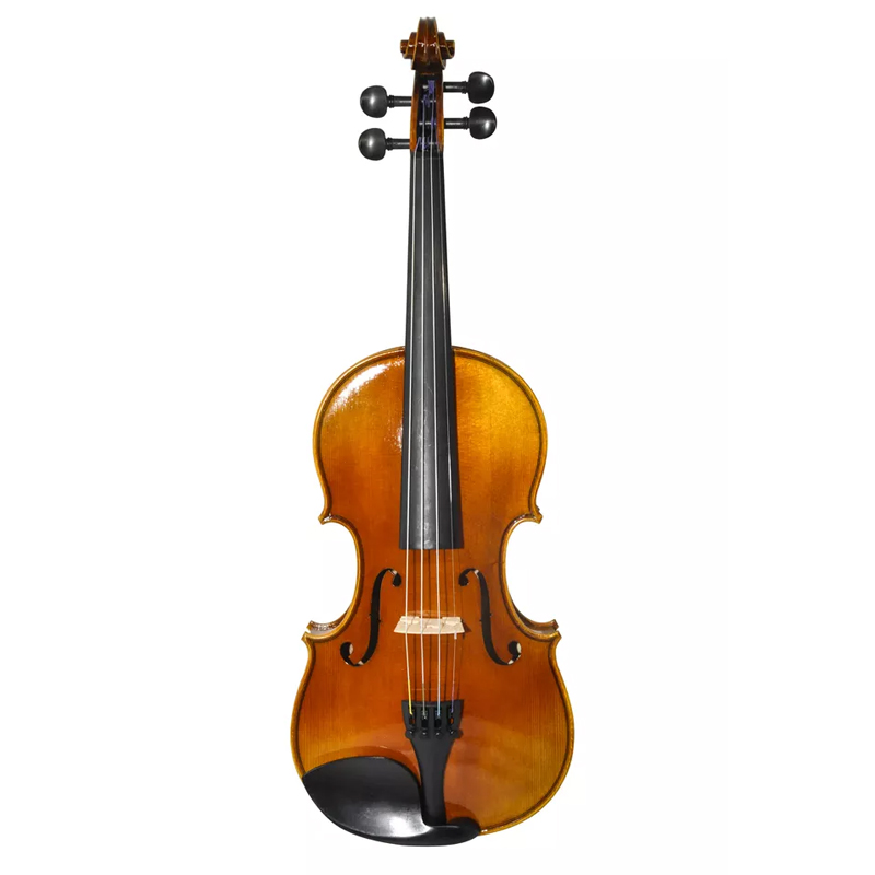 Wholesale 4/4 Advanced Violin Flamed Maple Back with Case(AVL310H)