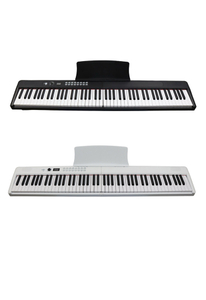 EK-F8801 Professional 61 Keys Portable Foldable Keyboard Instruments