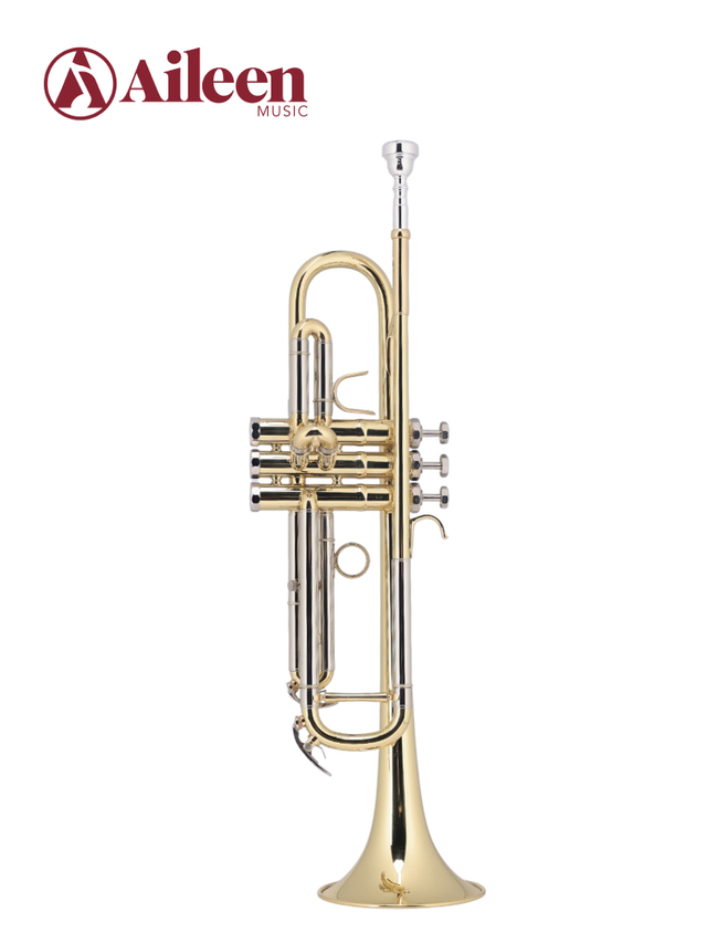 TP8034G Best Selling Middle Grade BB Key Yellow Brass Body Trumpet