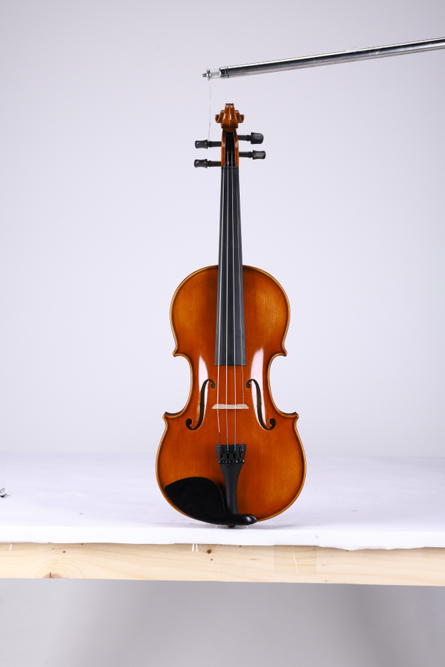 Professional Legacy Series Violin with Despiau Bridge LV01