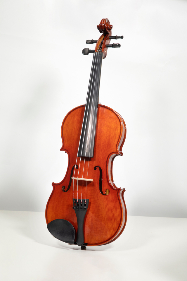 SV-15AL String Musical Instruments Suzuki Violin Student Violin
