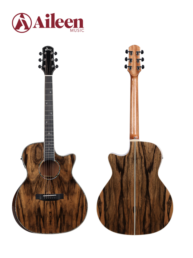 WAG901CE Winzz Exotic Material 41'' GA Shape Acoustic Guitar 