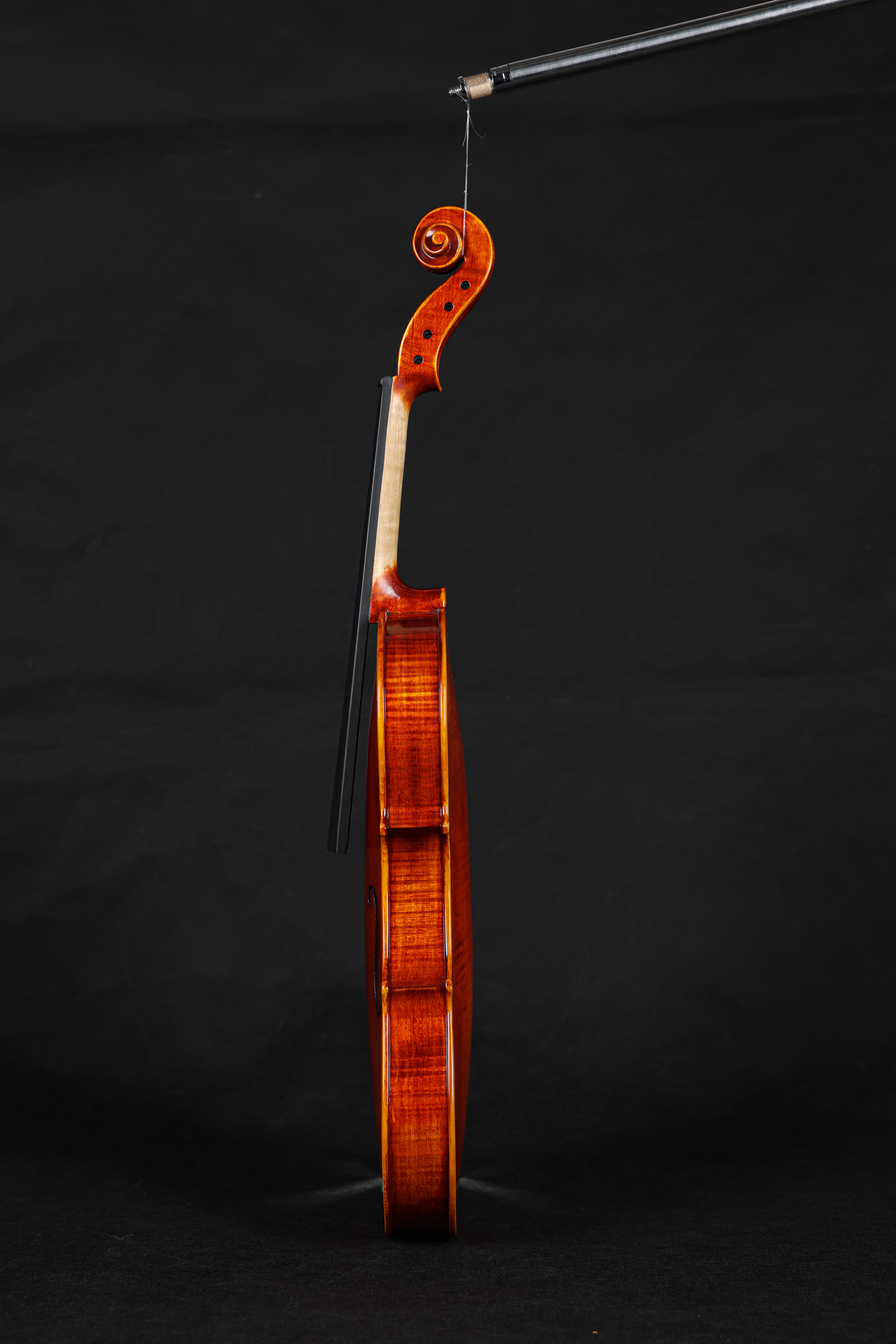 VM125 High Quality Professional Solid Spruce Top 4/4 Moderate Violin