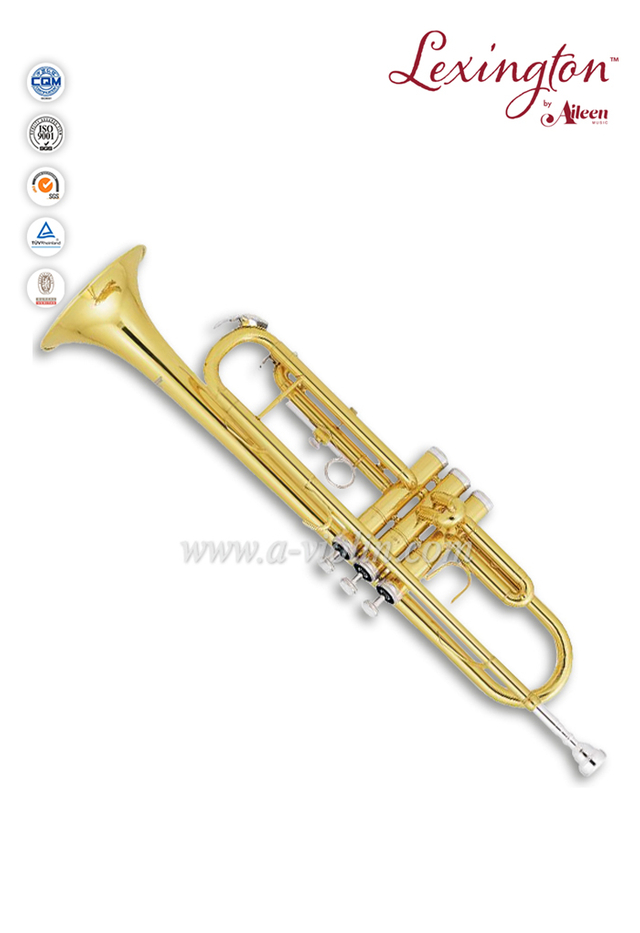 Nickel Plated Piston Yellow Brass Bb Trumpet With ABS Case (TP8390-S)