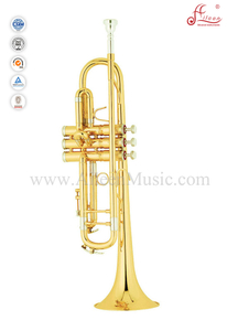Bb Key Professional Trumpet (TP8390)