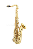 School Band Tenor Saxophone for Beginner Student(TSP-G400G)