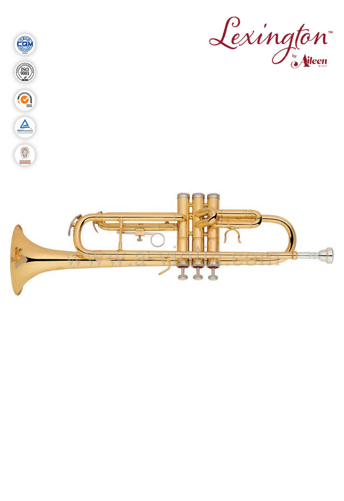 Bb Standard Professional Trumpet With Premium Case (TP8190G)