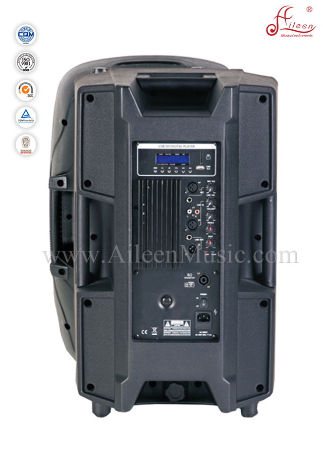 2-way 12'' Cabinet Professional Audio Speaker (PS-1215APR)
