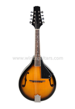 HAND-CRAFTED MANDOLIN VeneziaM-50(メ1035) Mandolins With Traditional And Modern Designs - AILEEN