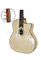 D Hole or Oval Hole Gypsy Jazz Guitar (AGJ400)