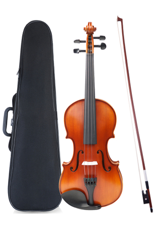 Adult Violin 4/4 All Solid Wood Violin Profesional(VG210H)