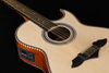 AF16CE-10 Hot Selling 10 Strings 41" Student Acoustic Guitar 