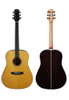 AFM18 Winzz 41" Grade A Solid Spruce Top Acoustic Guitar
