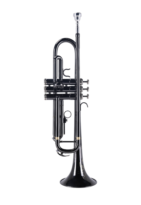 TP8001NB Good Quality Wind Instruments Entry Grade BB Key Trumpet