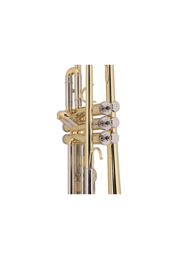 TP8034G Best Selling Middle Grade BB Key Yellow Brass Body Trumpet