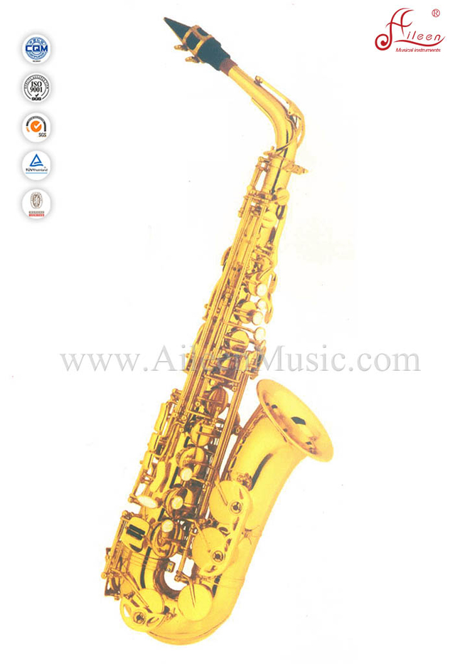 Factory Eb Alto Saxophone with Bamboo Mouthpiece(SP1011G)