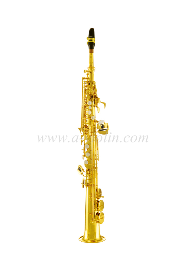 China Supplier Quality Entry Soprano Saxophone (SSP-G300G)