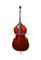 Varnish Violin Shape Advanced Double Bass(VDB310)