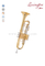 BH style Professional Trumpet With Premium Case (TP8390G)
