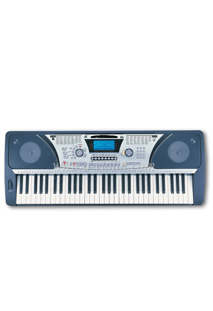 61 Keys Electrical Piano Electronic Organ Keyboard (EK61209)