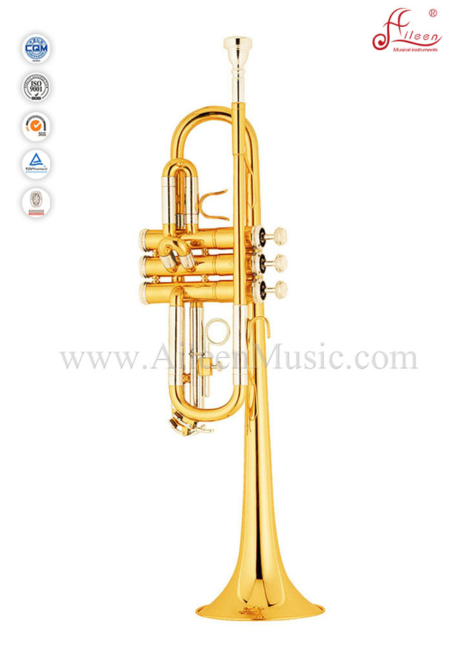 Professional C key Trumpet (TP8790)